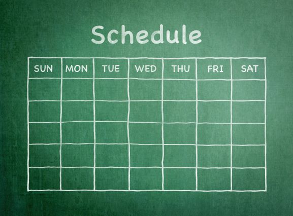 How to Schedule Campaign with TrafficBot